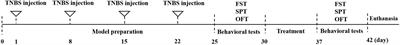 Moxibustion alleviates depression-like behavior in rats with Crohn’s disease by inhibiting the kynurenine pathway metabolism in the gut-brain axis